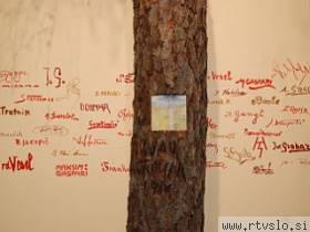 Drevo s podpisi